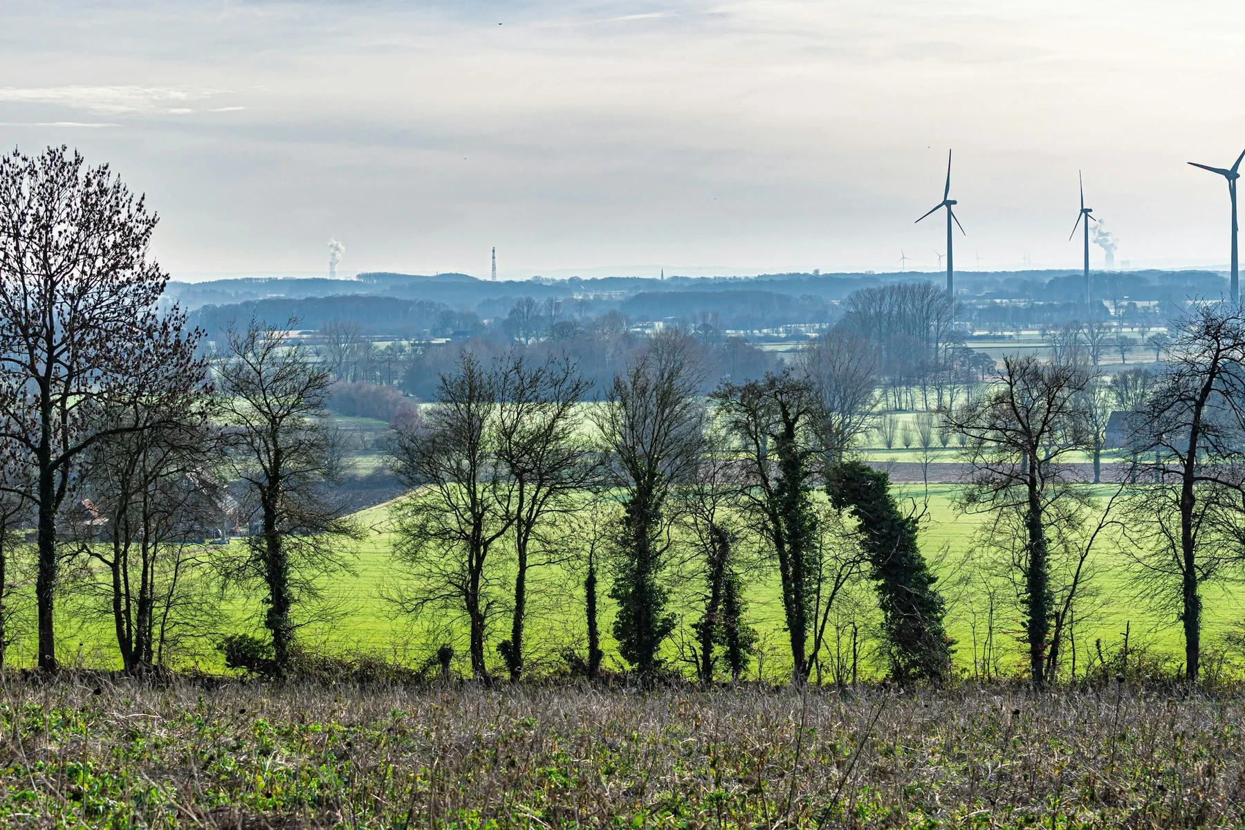 Wind turbines across a green rural landscape