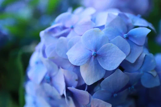 Another photograph from nature