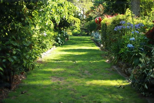 Another photograph from garden