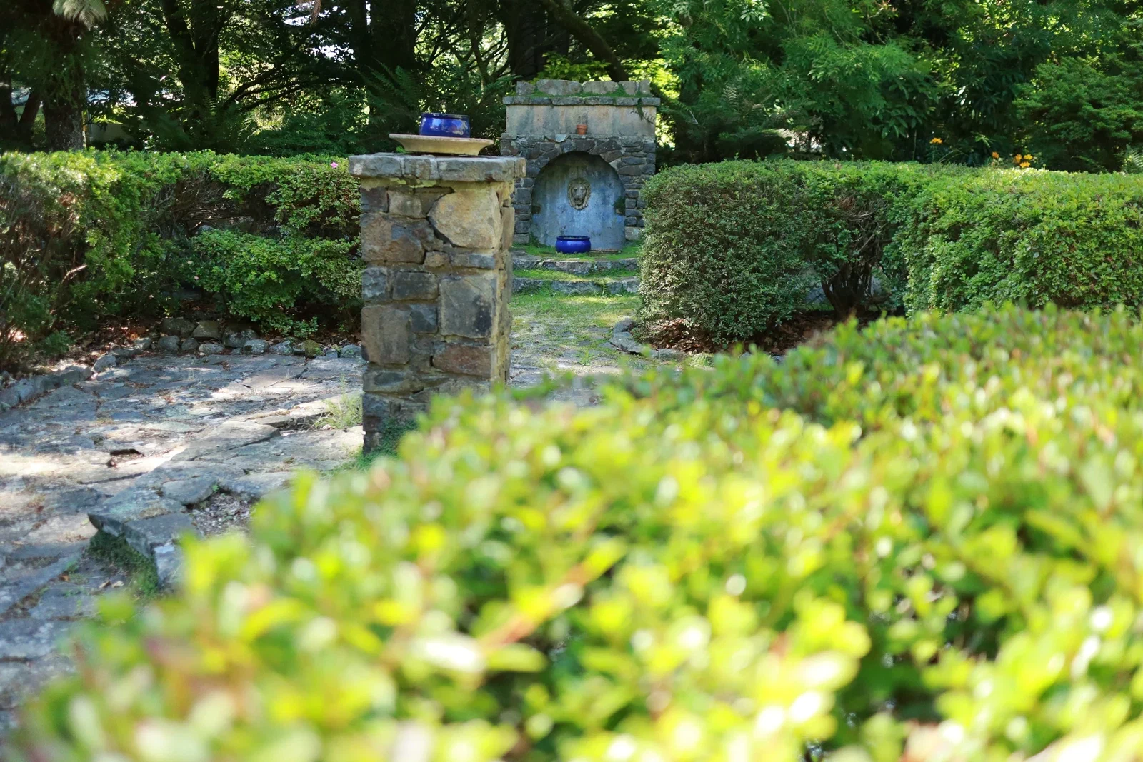 Garden photograph